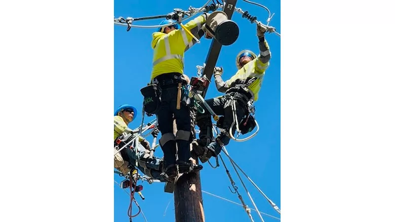 ward linemen