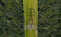 Electric Distribution