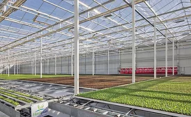 Equinox Growers Louisa Greenhouse Development