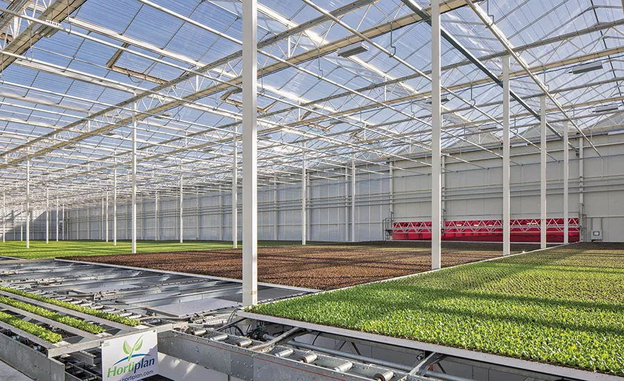 Equinox Growers Louisa Greenhouse Development