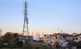 Transmission lines running above houses, representing infrastructure subject to ESA consultation and habitat-review requirements.