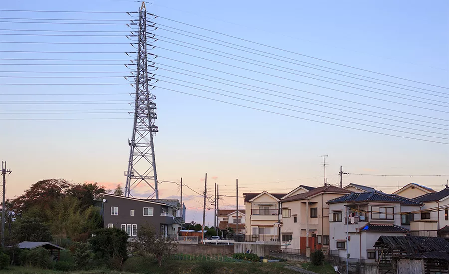 Transmission lines running above houses, representing infrastructure subject to ESA consultation and habitat-review requirements.