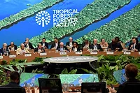COP30 photo