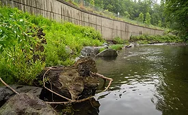 MassDOT used river science 