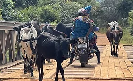ECS and Engineers Without Borders USA Transform Travel for Communities in Malawi, East Africa