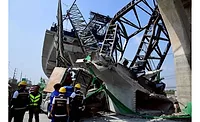 Thai Crane