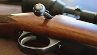 rifle stock