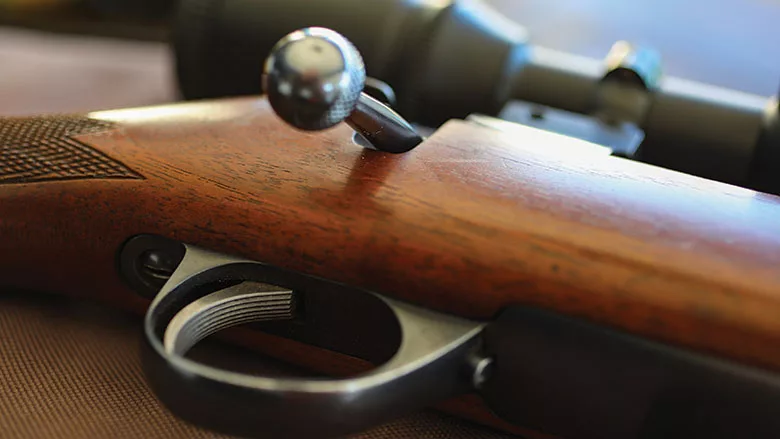 rifle stock