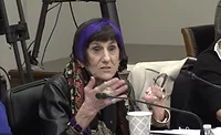 Rosa DeLauro at hearing.png Rep Rosa DeLaura at Congressional Committee hearing.