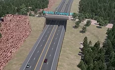 ADOT simulation showing a planned wildlife crossing bridge over the widened SR 260 Lion Springs highway corridor in Arizona.