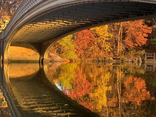 Bow Bridge 9