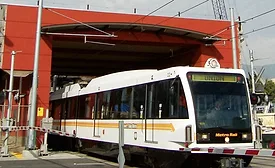 gold line