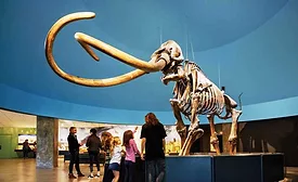 tar pits