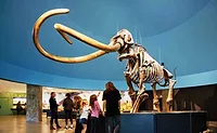 tar pits