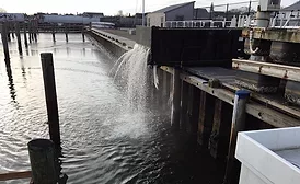 Nantucket sewer