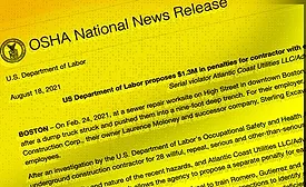 Boston_Osha_fine