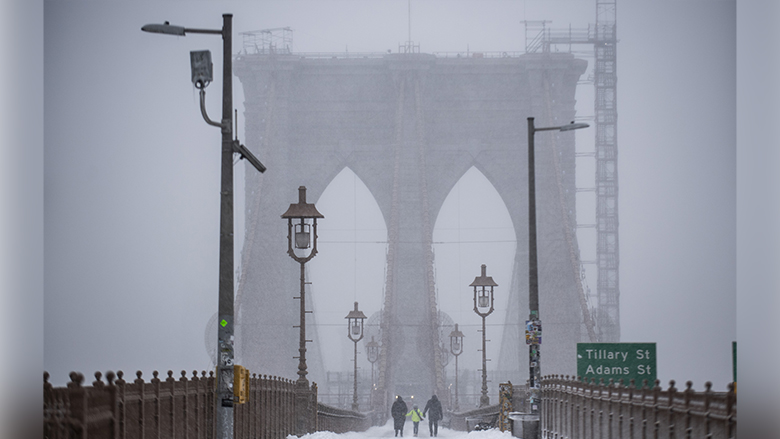 Brooklyn Bridge Snow Storm