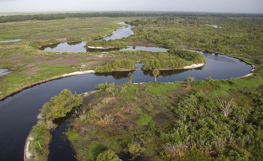 Everglades-20823.jpg