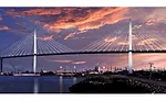 Cable-stayed vehicular bridge