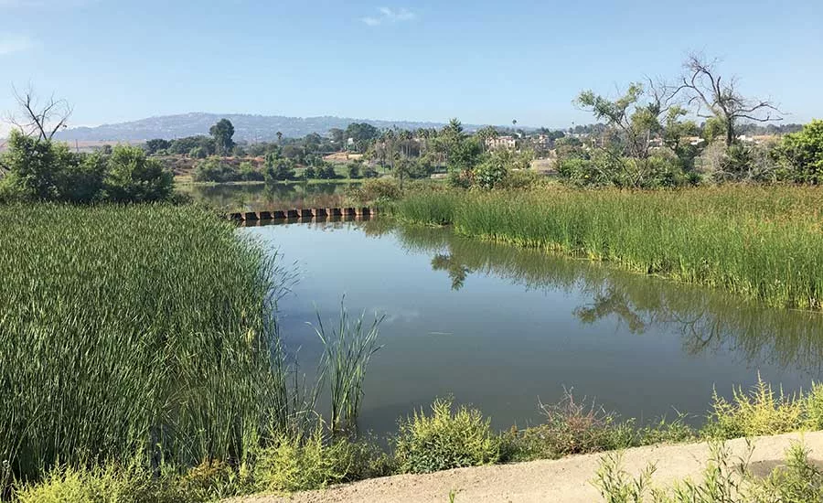 Machado Lake Ecosystem Rehabilitation
