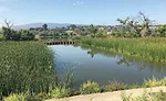 Machado Lake Ecosystem Rehabilitation