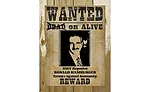 Post-9/11 wanted poster