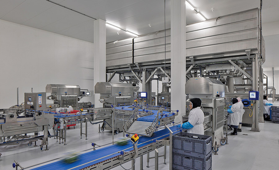Equinox Growers Louisa Greenhouse Development