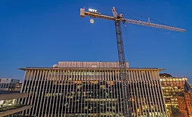 Rooster the crane