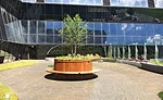Bunny Mellon Healing Garden
