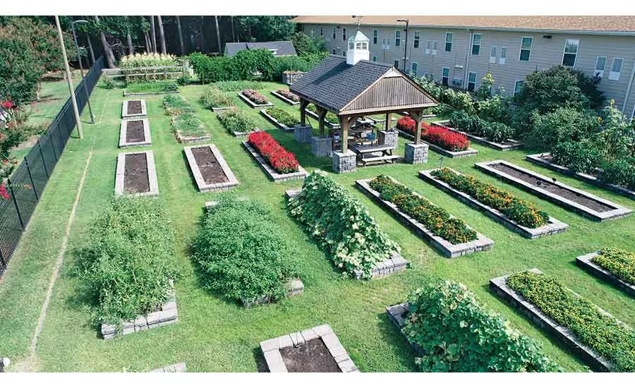 Organic garden