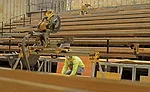 Craft workers