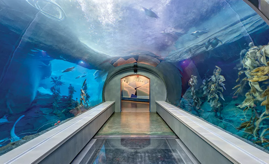 Polk Penguin Conservation Center at the Detroit Zoo