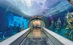 Polk Penguin Conservation Center at the Detroit Zoo