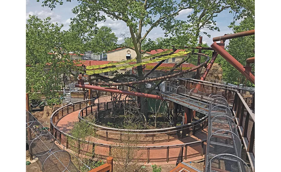 primate canopy trails at St. Louis Zoo