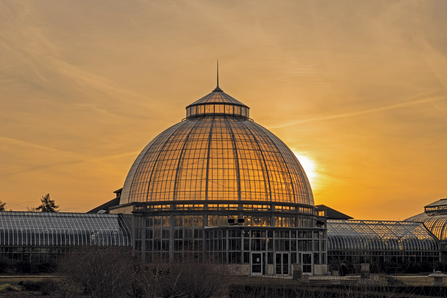 Anna Scripps Whitcomb Conservatory