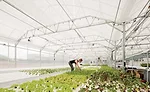 Dahlia Campus greenhouse