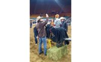 National Western Stock Show Capital Improvements and Site Upgrades