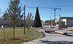 Festival Park