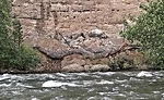 Stillwater River Road Rockfall