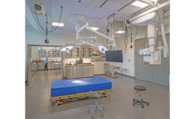 Denver Zoo Surgery Suite