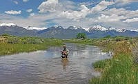 SWCA’s environmental assessments SWCA’s environmental assessments