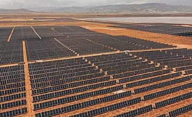 Appaloosa Solar 1