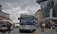 Weber State University BRT 