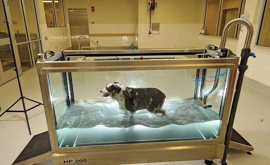 Wilford and Kate Bailey Small Animal Teaching Hospital
