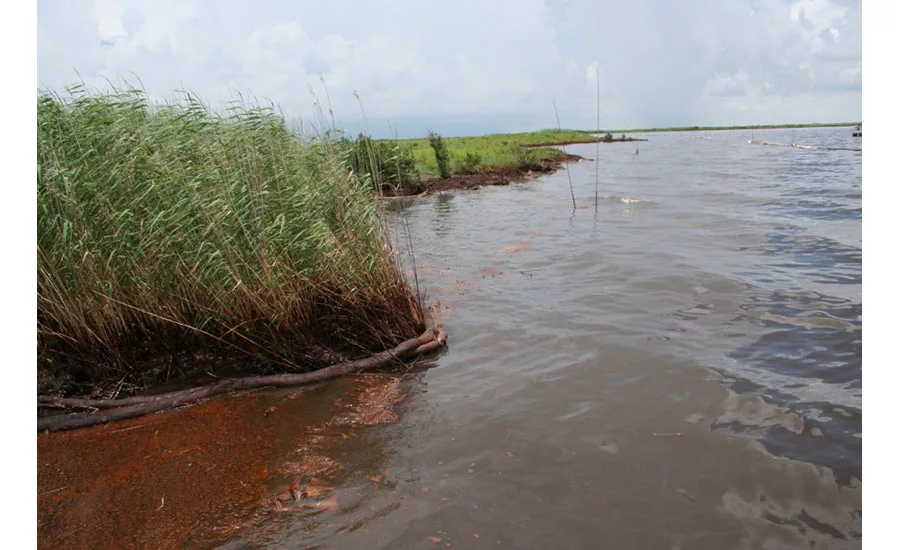 shoreline oiling