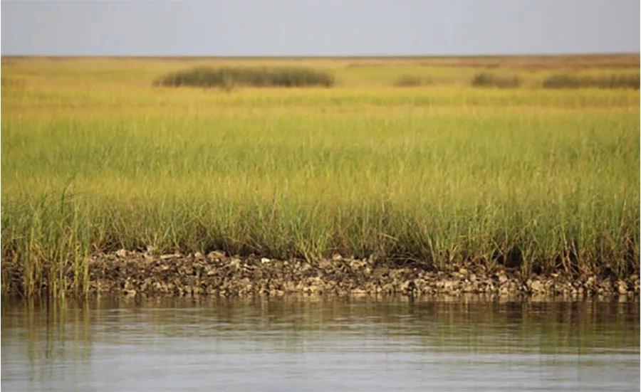 Louisiana’s southwest coastal area