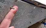 small nails used instead of bolts