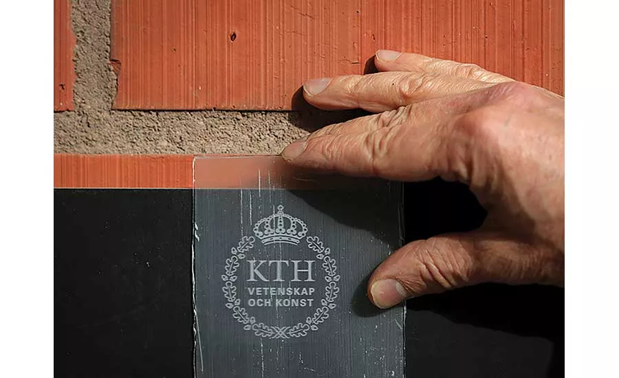 transparent wood