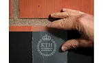transparent wood
