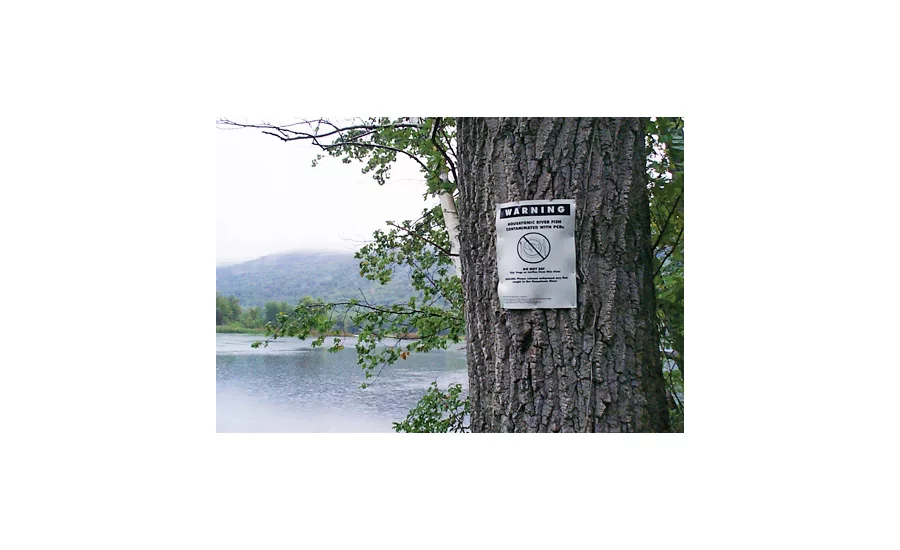 letter on tree